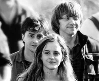Golden trio 2