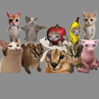 10 Cats