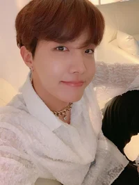 Jung hoseok 