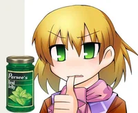 J Mizuhashi Parsee 