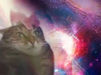 SPACE CAT