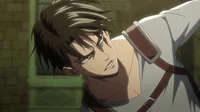 Levi Ackerman