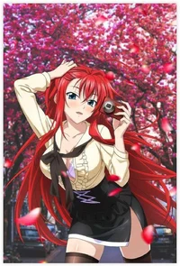 Your classmate Rias 