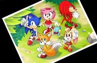 Sonic Advance 3 gang