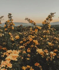 Your loving siblings