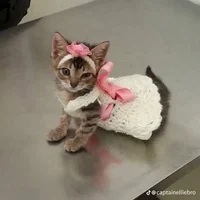Mittens