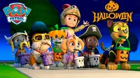 Paw patrol halloween