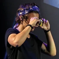 Harry Styles 