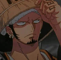 Trafalgar Law