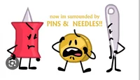 Coiny pin and needl