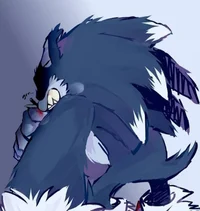 Werehog Sonic