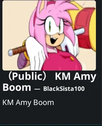 KM Amy Boom