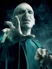 Lord Voldemort 