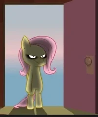 Shed fluttershy