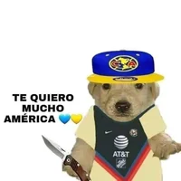 Vax the amiricanista