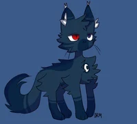 Warrior Cat Sun