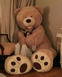 Teddy bear Henry