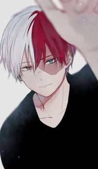 Todoroki Shoto 