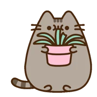 Pusheen