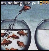 Im nothing like yall