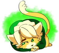 Cat Lloyd