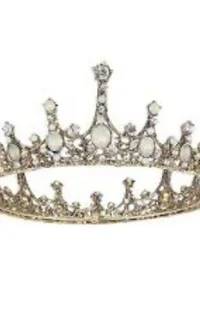 Mafias lost princess