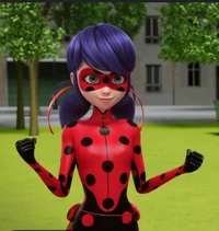 Ladybug