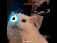 Thurston Waffle Sans