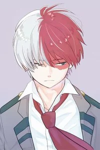 Shoto todoroki
