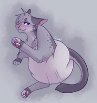 Warrior cats daycare