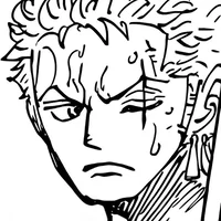 OP-Roronoa Zoro