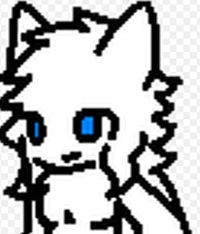 Tiddy Kitty 