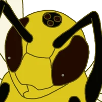 Mora the Beedrill