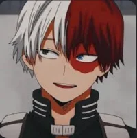 Shoto todoroki 