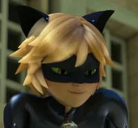 Cat Noir