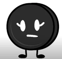 Hockey Puck