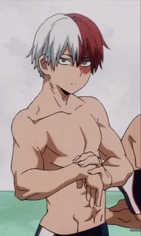 Shoto todoroki 
