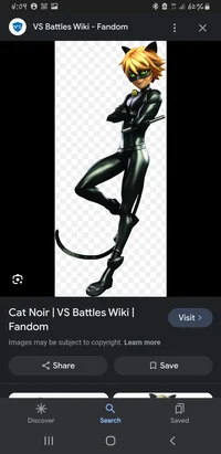 Cat noir 