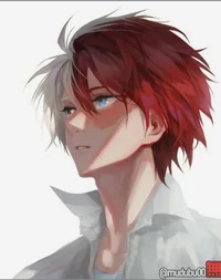 Todoroki Shoto 