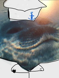 Sailor smug seal