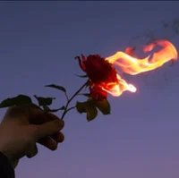 00 Mudarrke - UPDATE