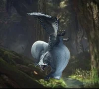 Tobi Kadachi