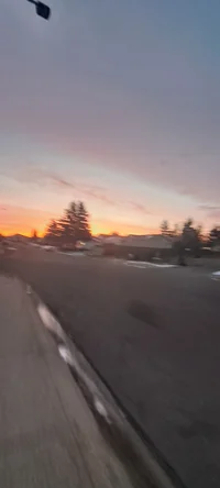 Van and Vipers house