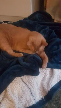 Aluminum Jim bom bom