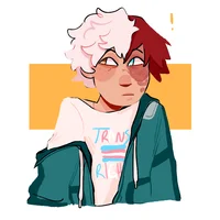 Shoto Todoroki 