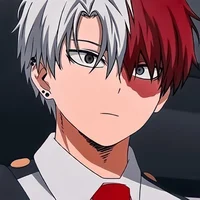 shoto todoroki 