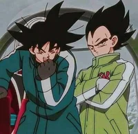 Goku y Vegeta 