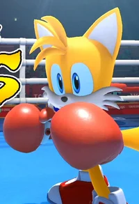 Boxing Tails