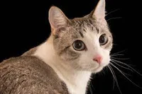 Recommend a bot