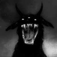 Bot - Rasga vidas
